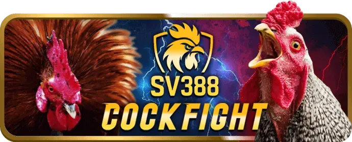 Đa dạng các trò chơi cá cược tại VB777 Nhà Cái: thể thao, casino, slot